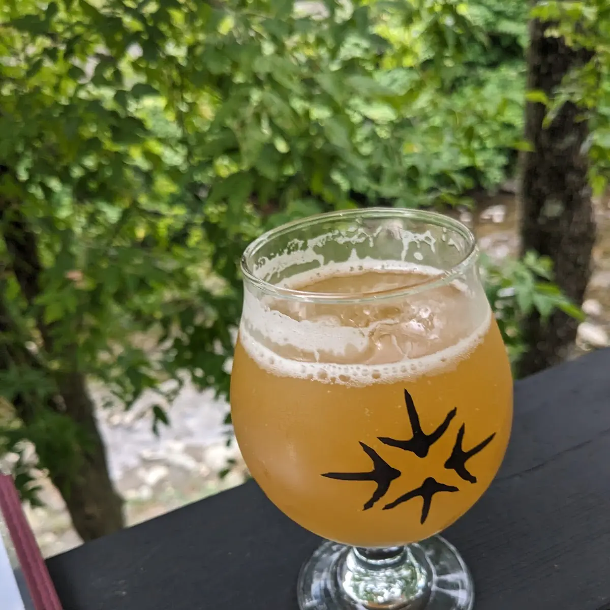 Backbone IPA, Sutton Brouërie - Microbrasserie & Auberge