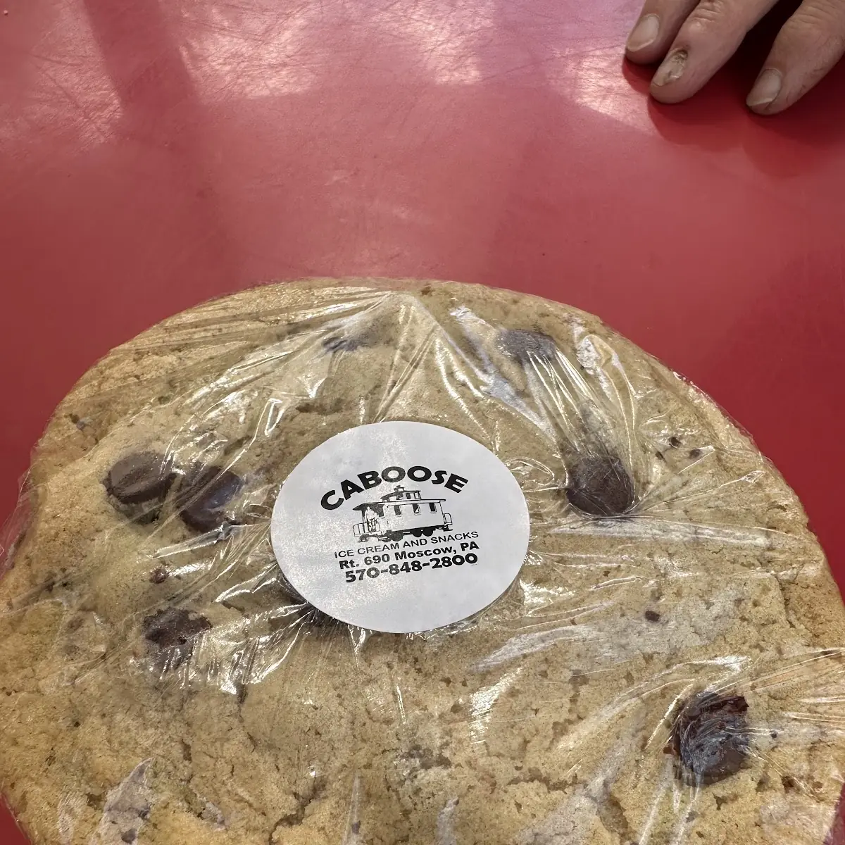 Chocolate Chip Cookie Ice Cream Sandwich