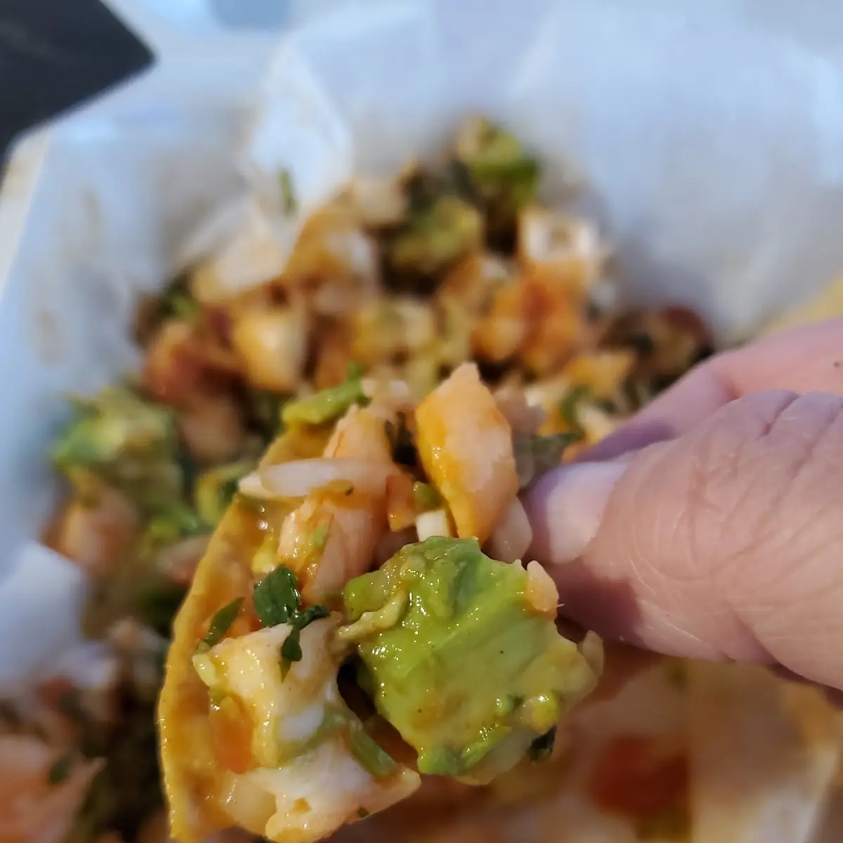 Shrimp Ceviche on a Torta