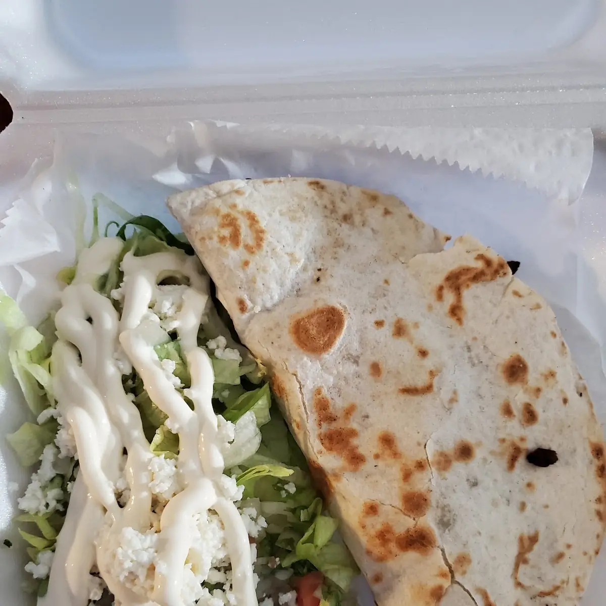 Steak Quesadilla in Flour Tortillas