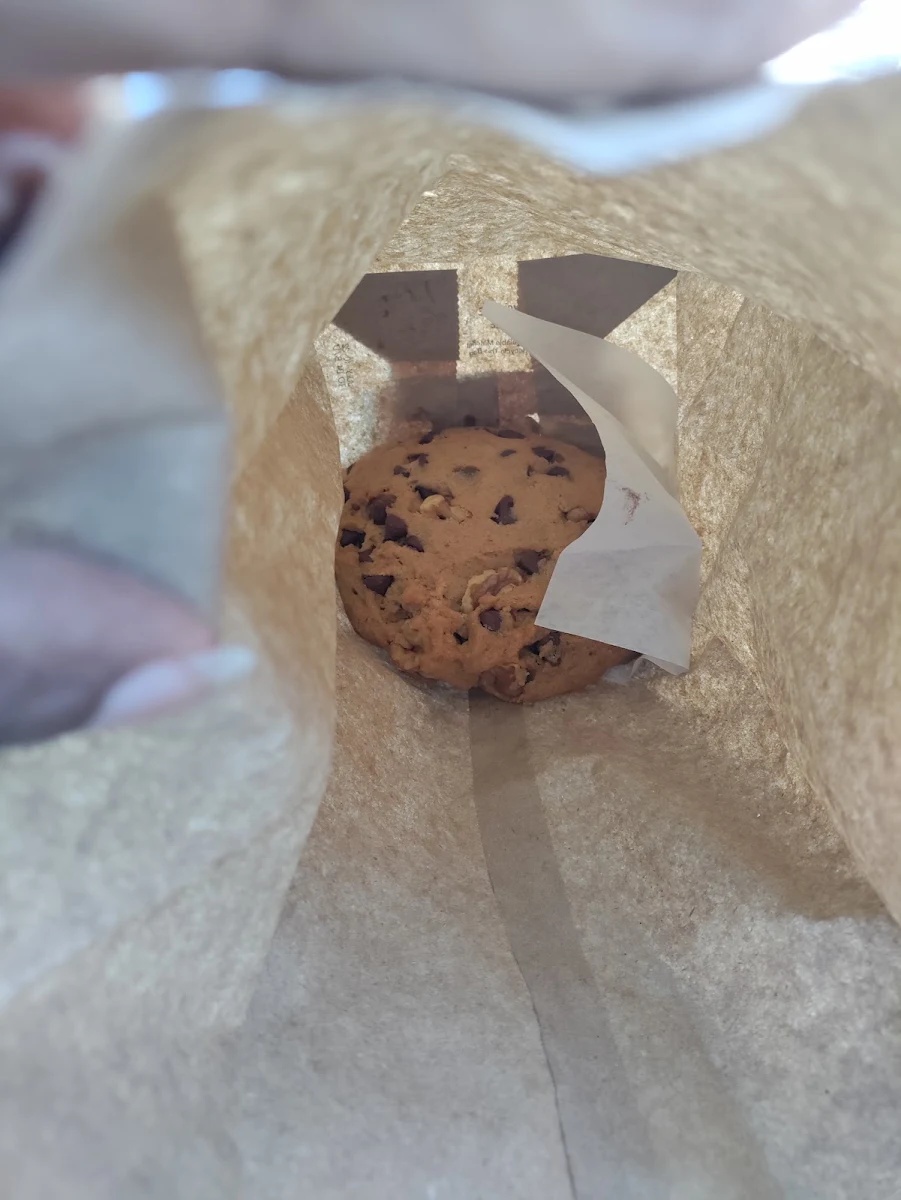 Choc Chip Cookie with Walnuts