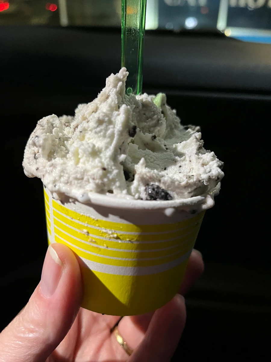 Mint Chocolate Chip
