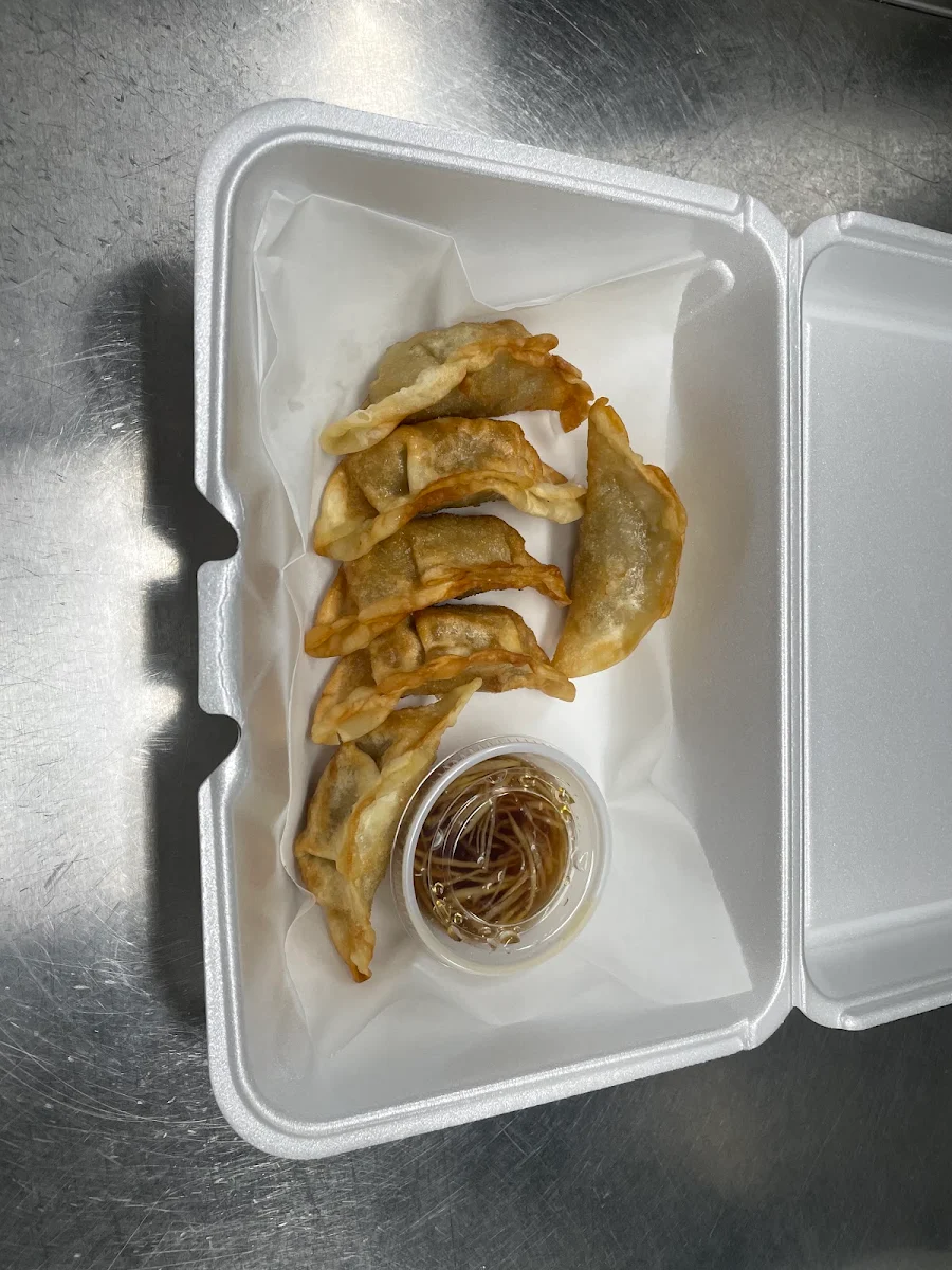 Fried Pork Dumplings