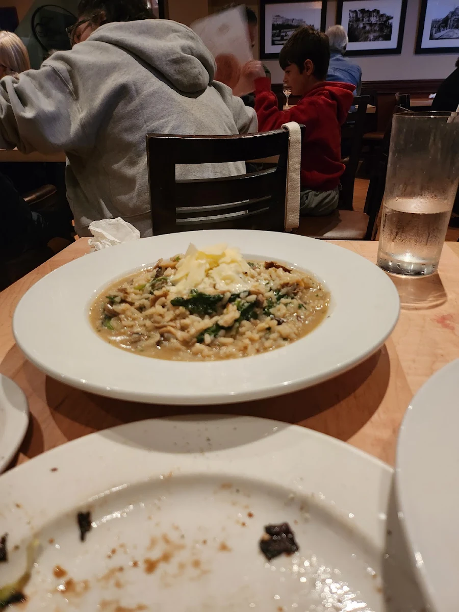 Mushroom Risotto