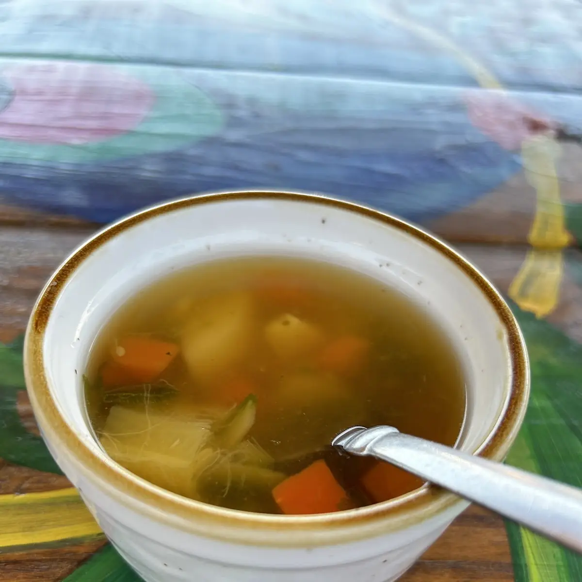 Vegetable Soup