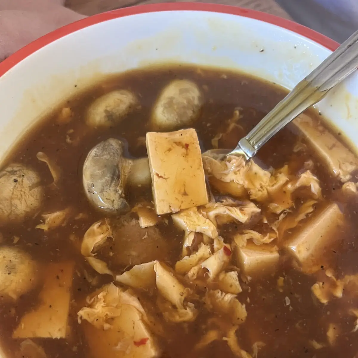 Hot and Sour Soup
