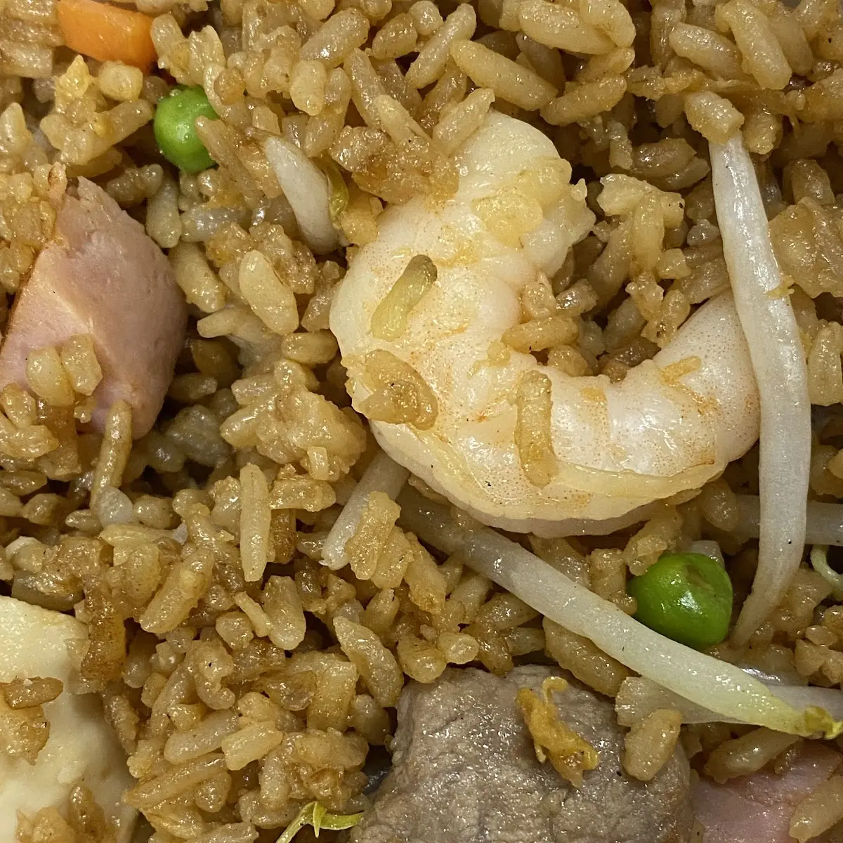 Combination Fried Rice