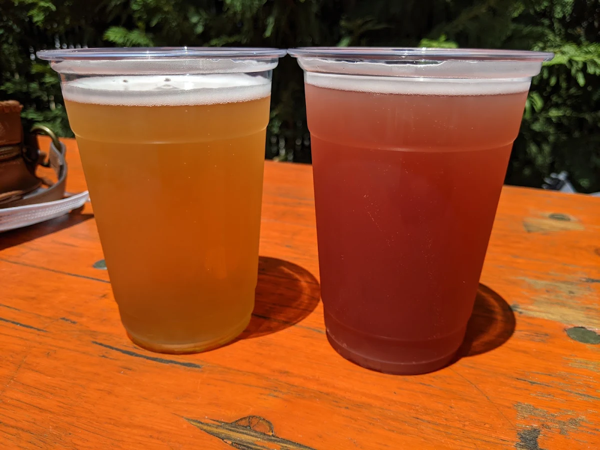 What Is a Hazy Pale Ale