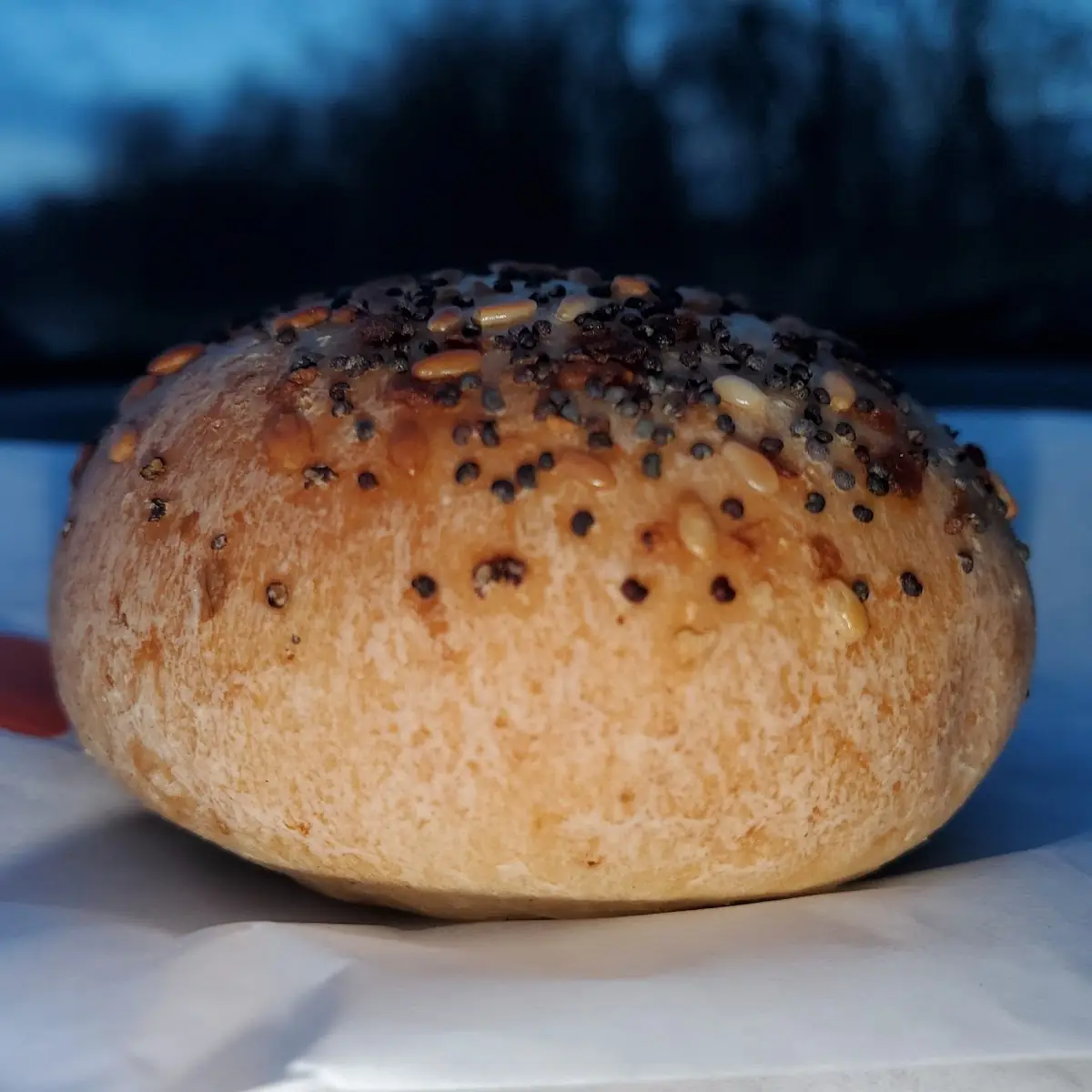 Everything Bagel Bite