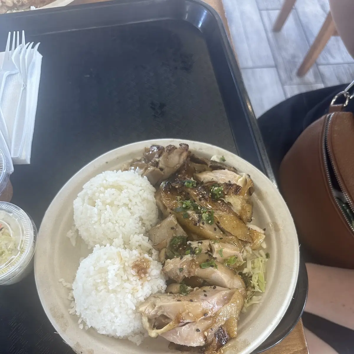 Teriyaki Chicken and Pulled Pork Plates