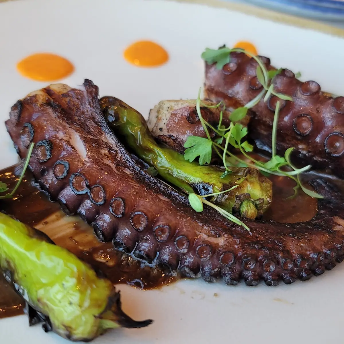 Char Grilled Octopus