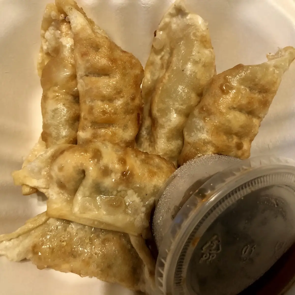 Gyoza Fried Steam