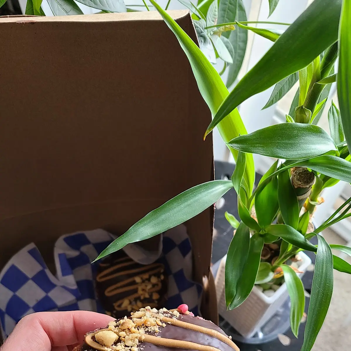 Peanut Butter Chocolate Salted Paçzki