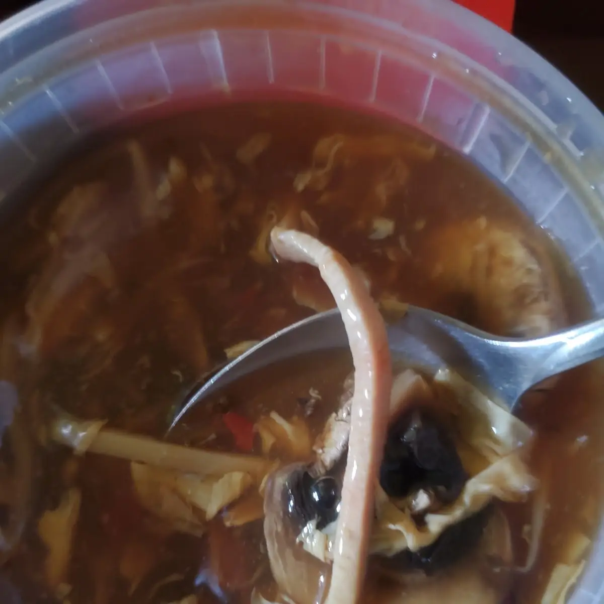 Hot and Sour Soup