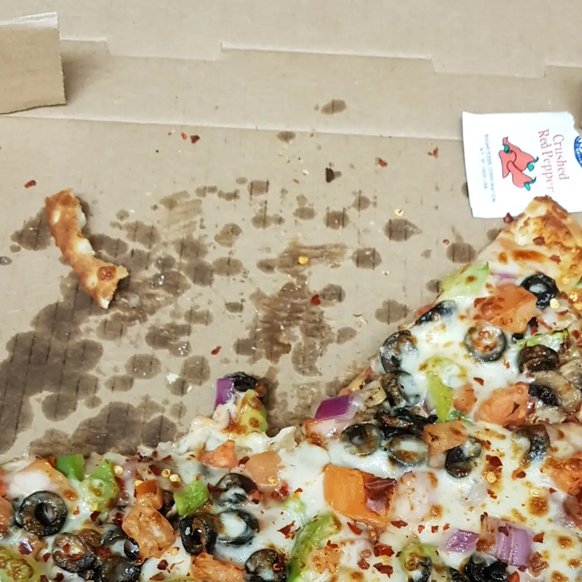 Vegetarian Pizza