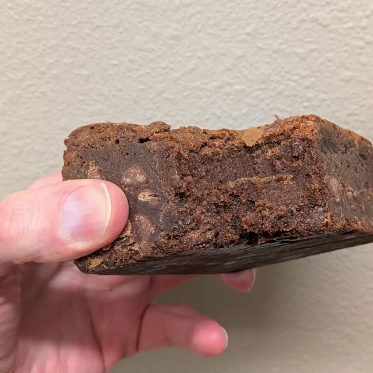 Classic Chocolate Chip Cookie