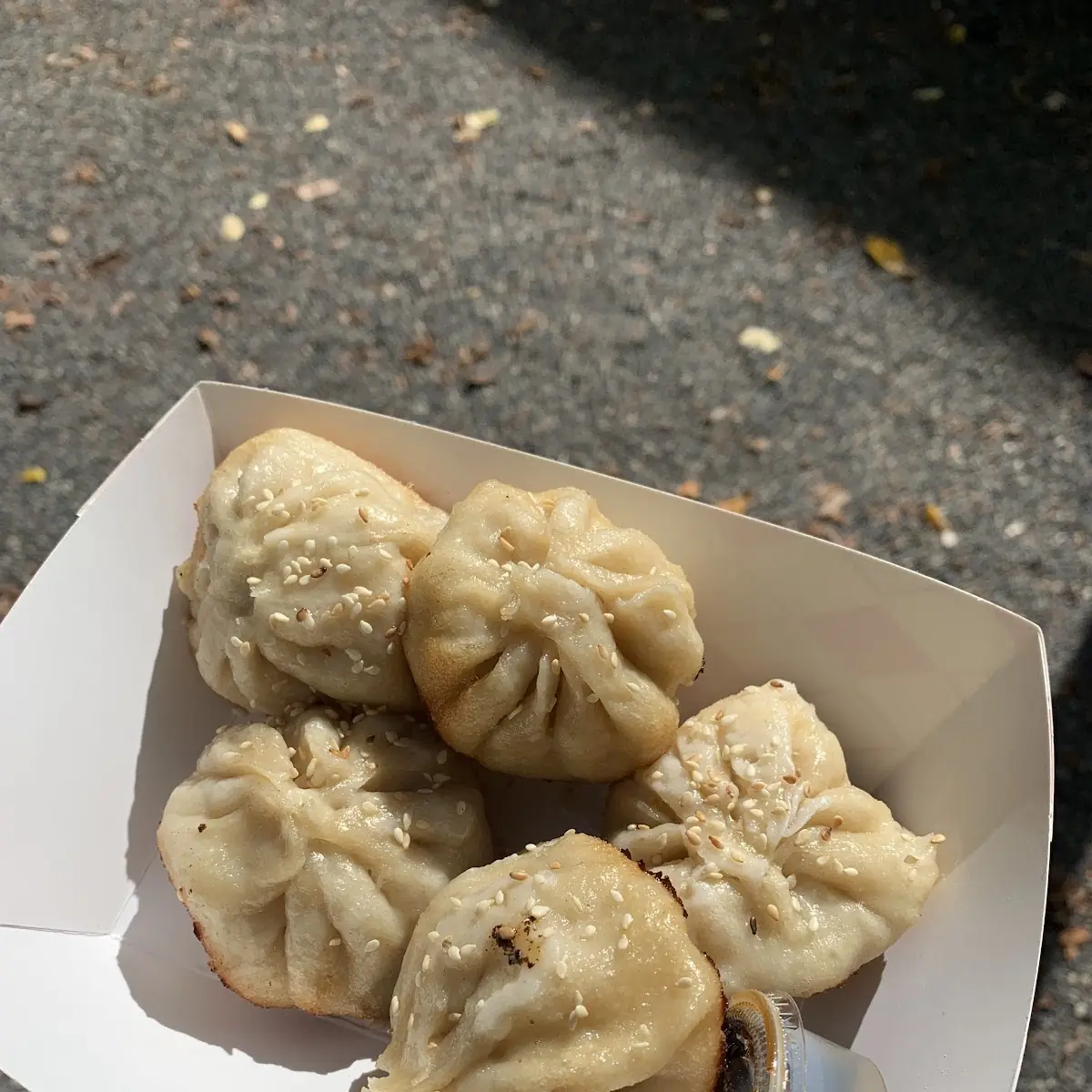 Steamed Rice Dumpling