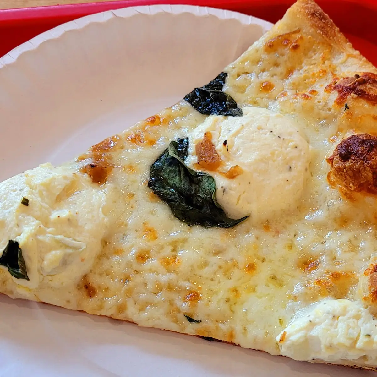 White Pizza Slice