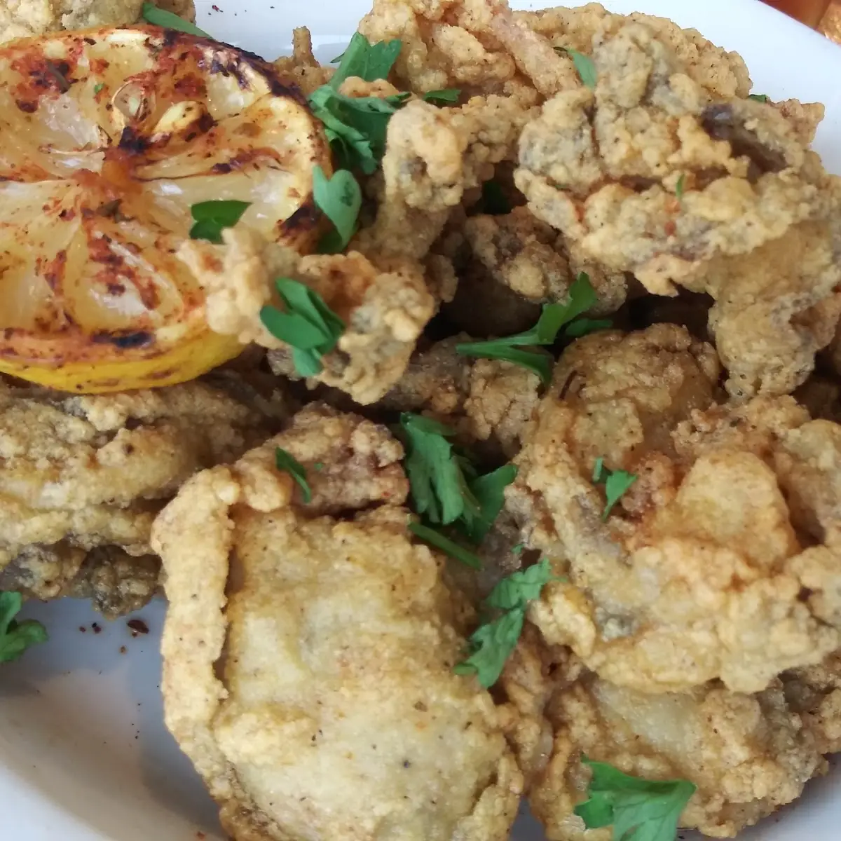 Fried Oysters