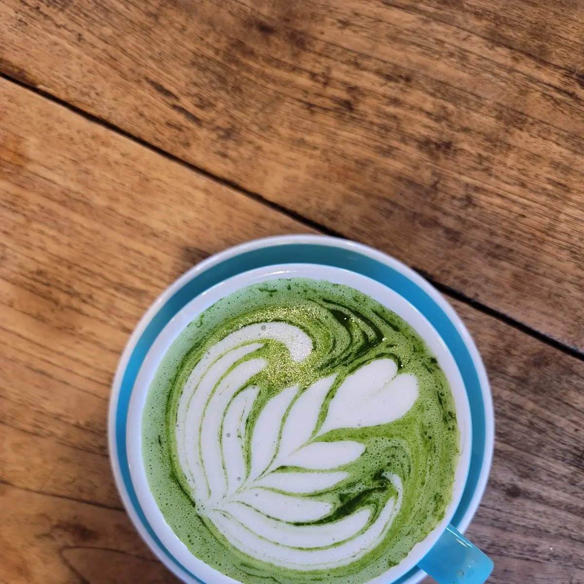 Steamed Milk Side