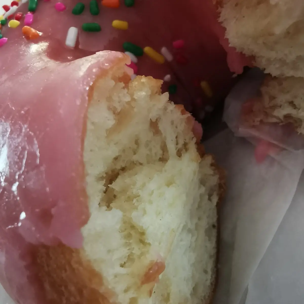 Doughnut