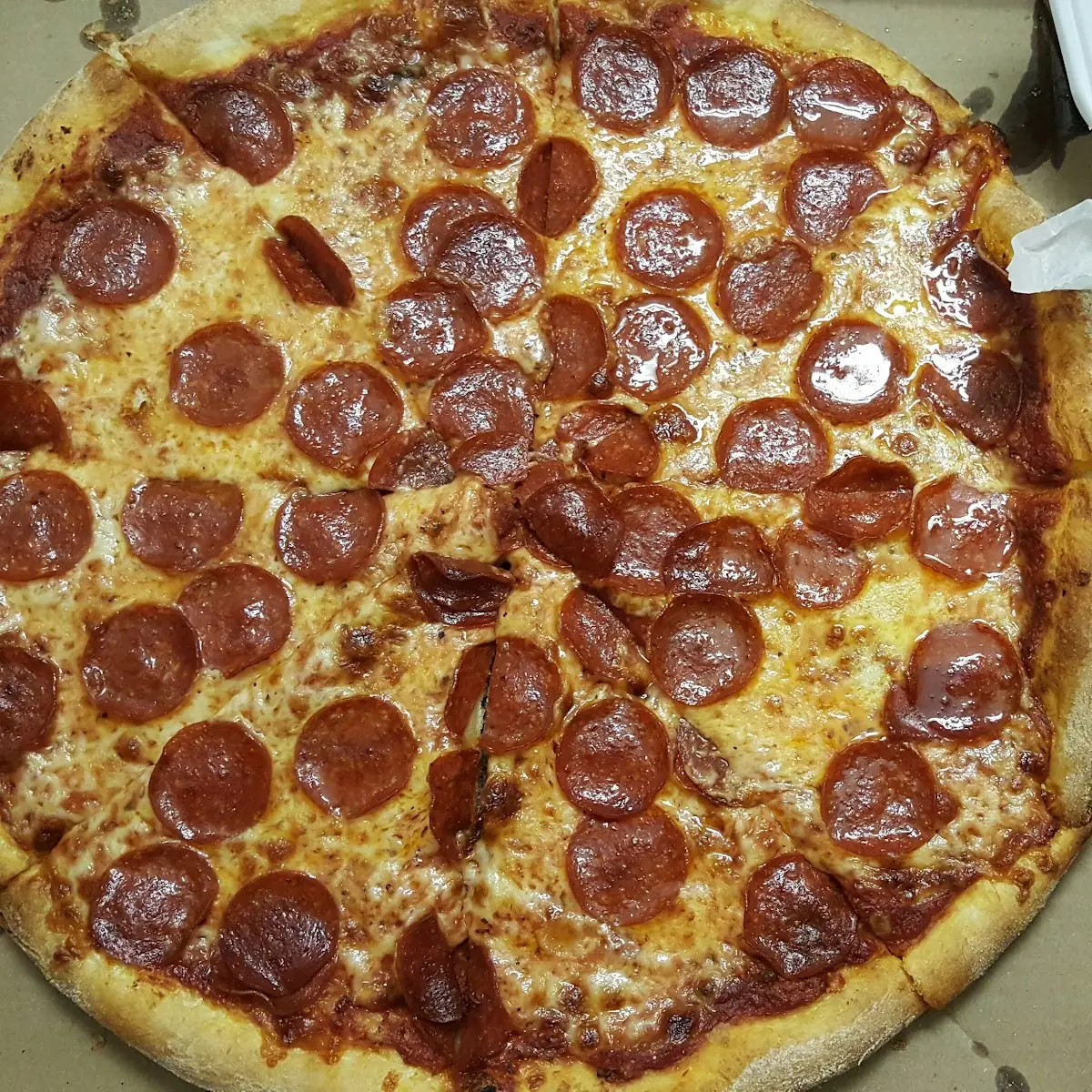 Pepperoni Pizza & Mozzarella Sticks