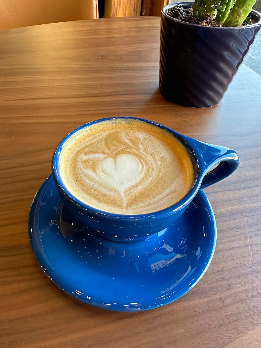 Cappuccino with Chocolate Sauce
