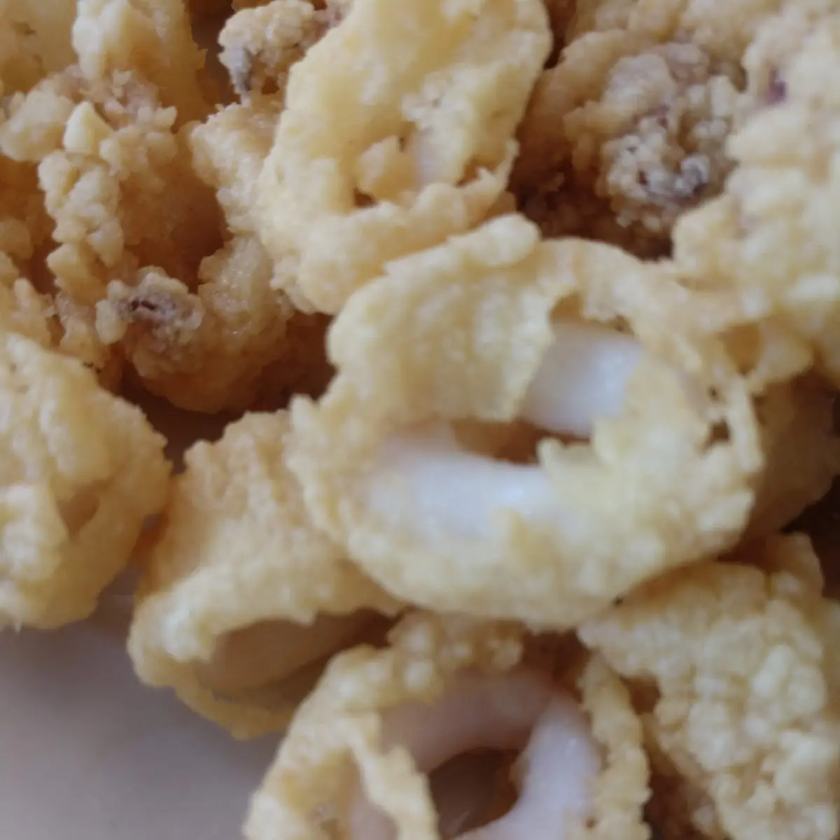 Fried Calamari
