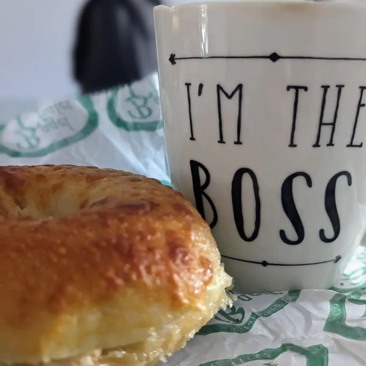 Asiago Bagel
