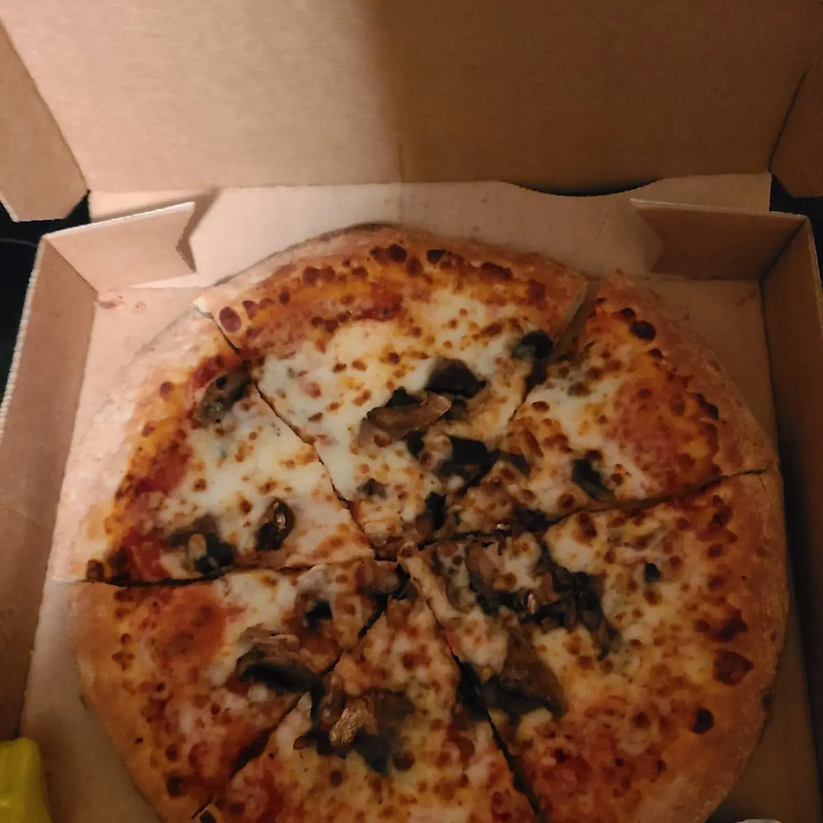 Mushroom Pizza