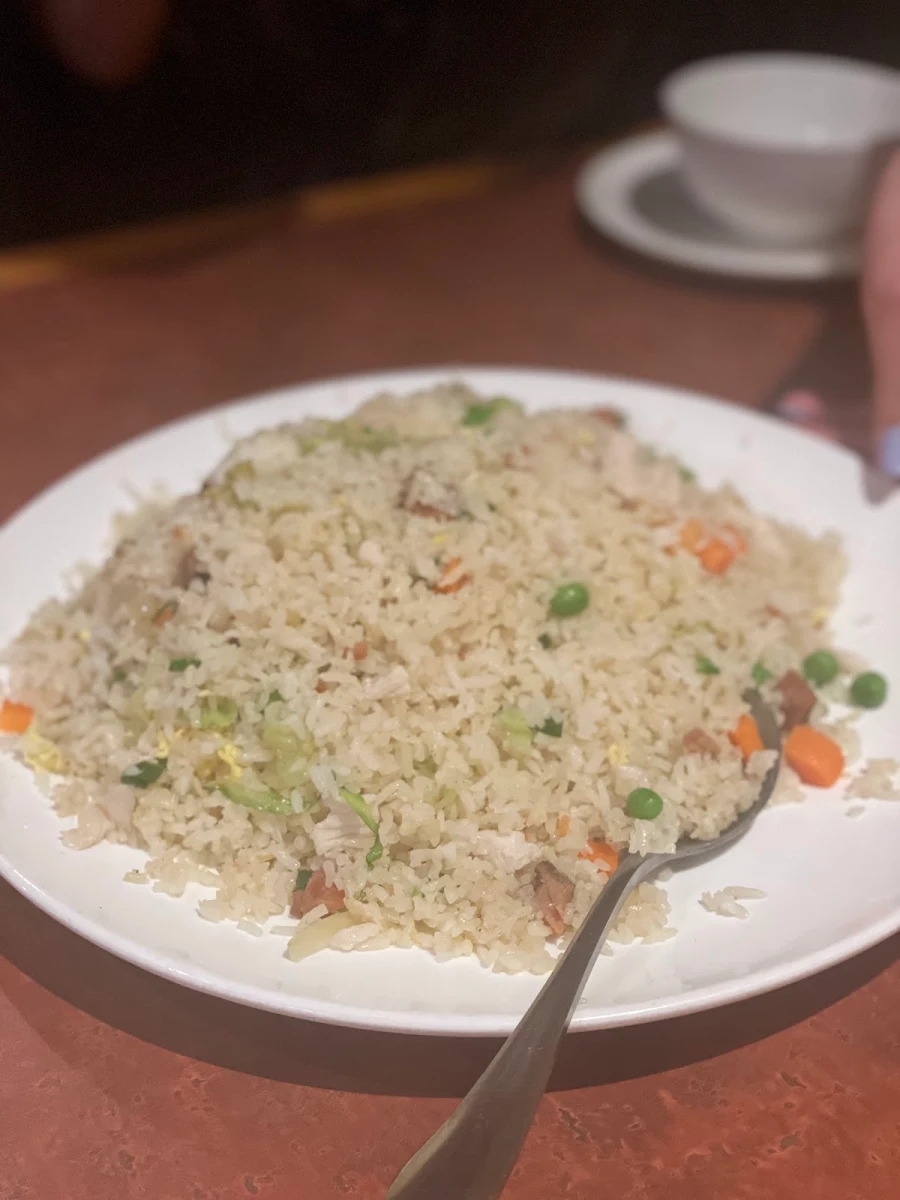 Salted Fish and Chicken Fried Rice