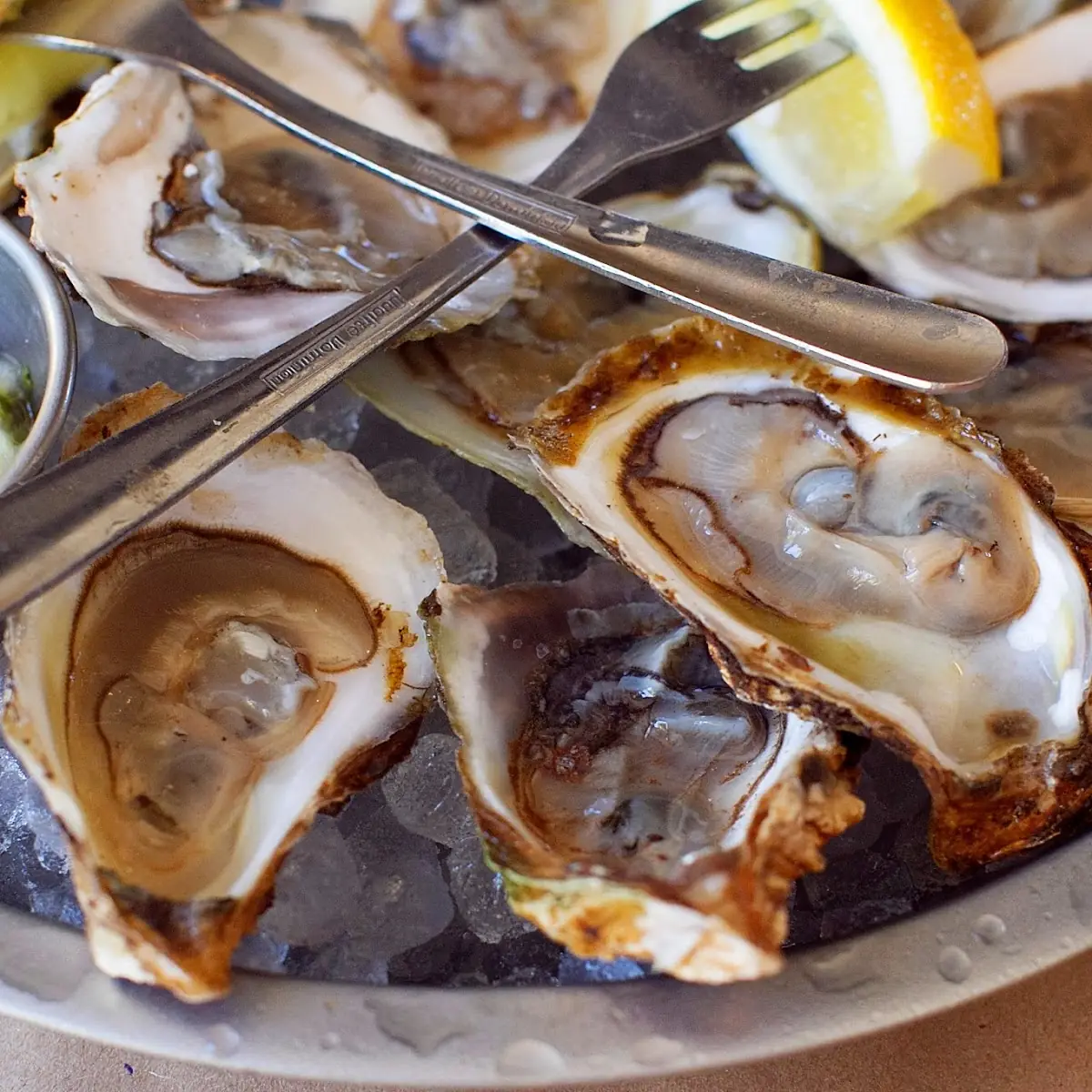 Oysters on the Half Shell