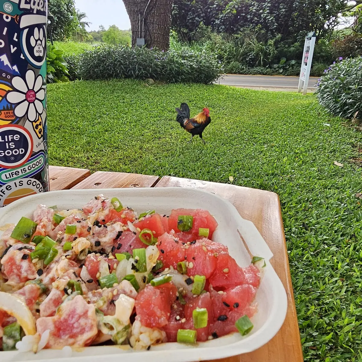 Ahi Poke Salad