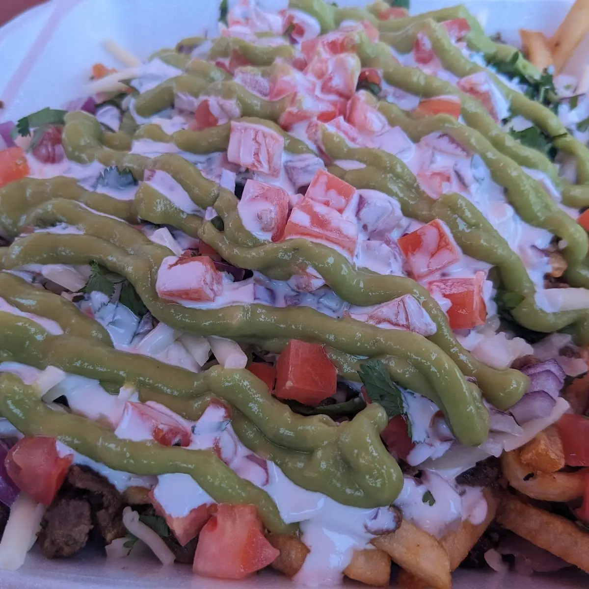 Asada Fries