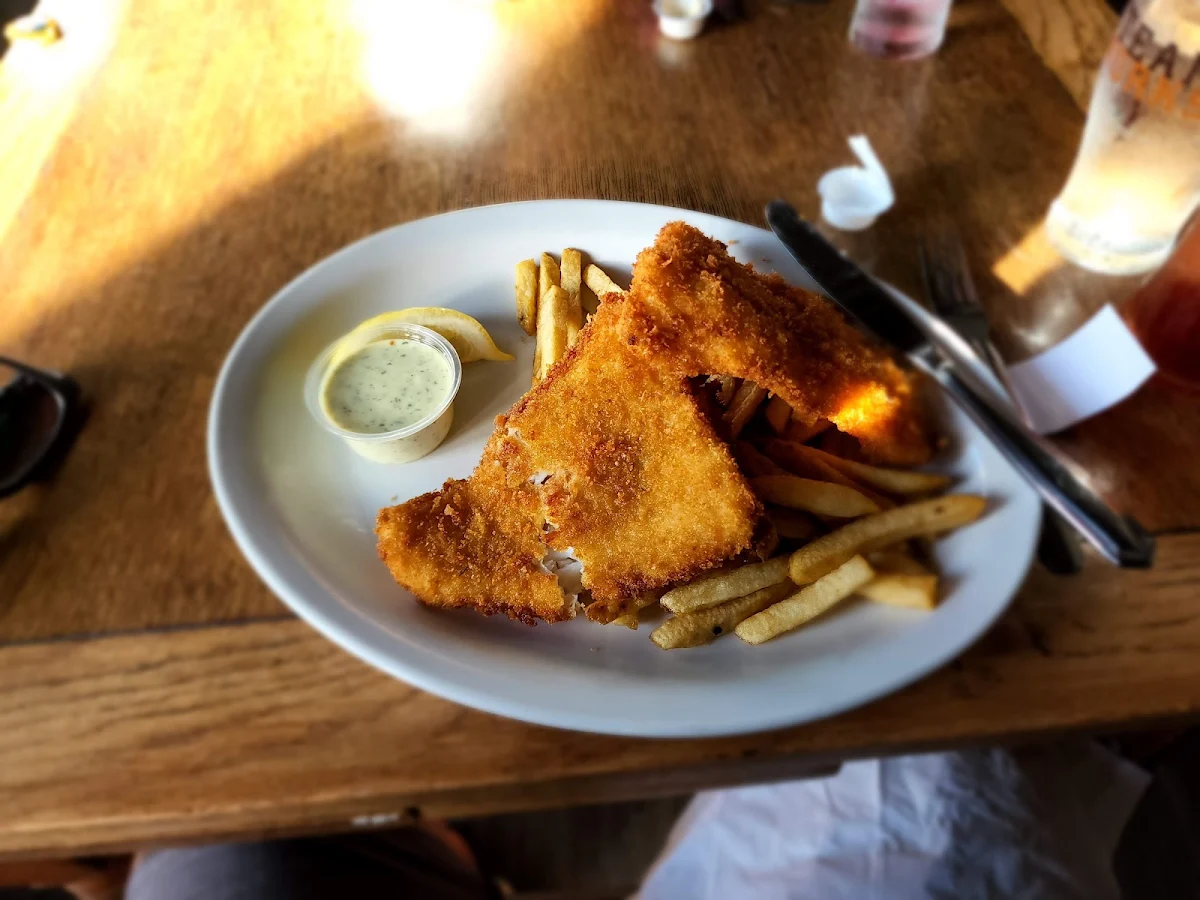 Halibut & Chips, Sharkey's Seafood Bar & Grille