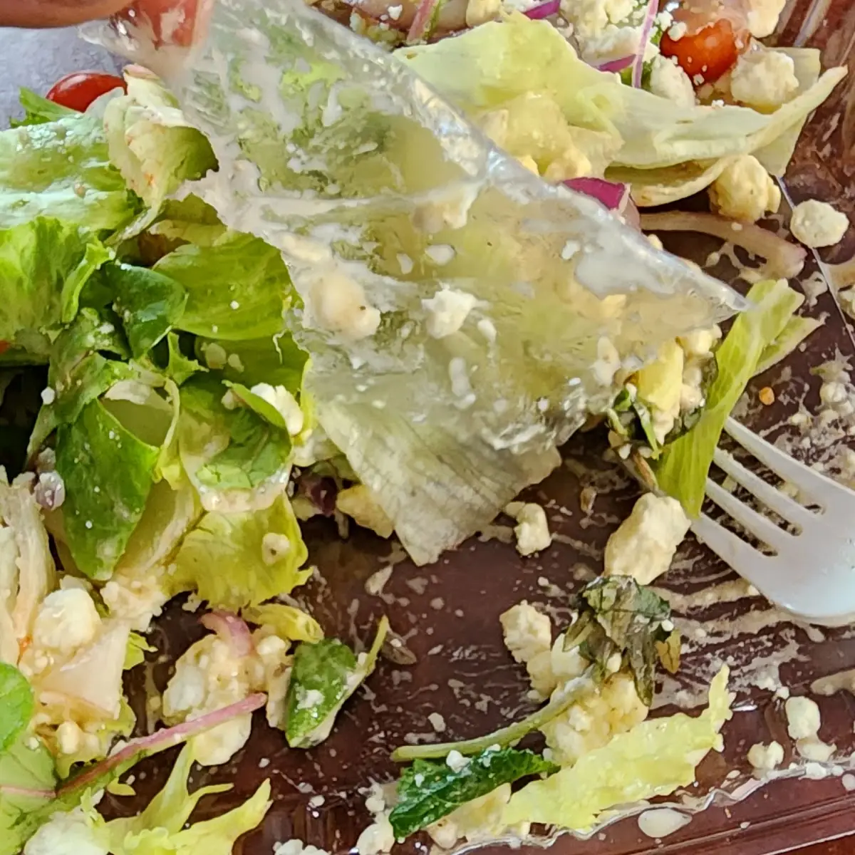 Caesar Salad