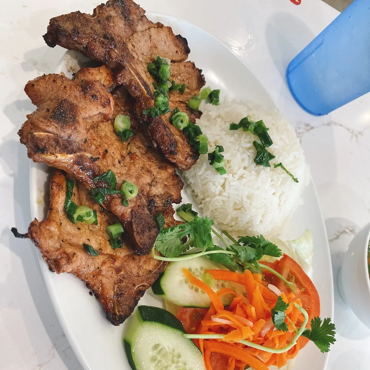 Rice with Pork Chop