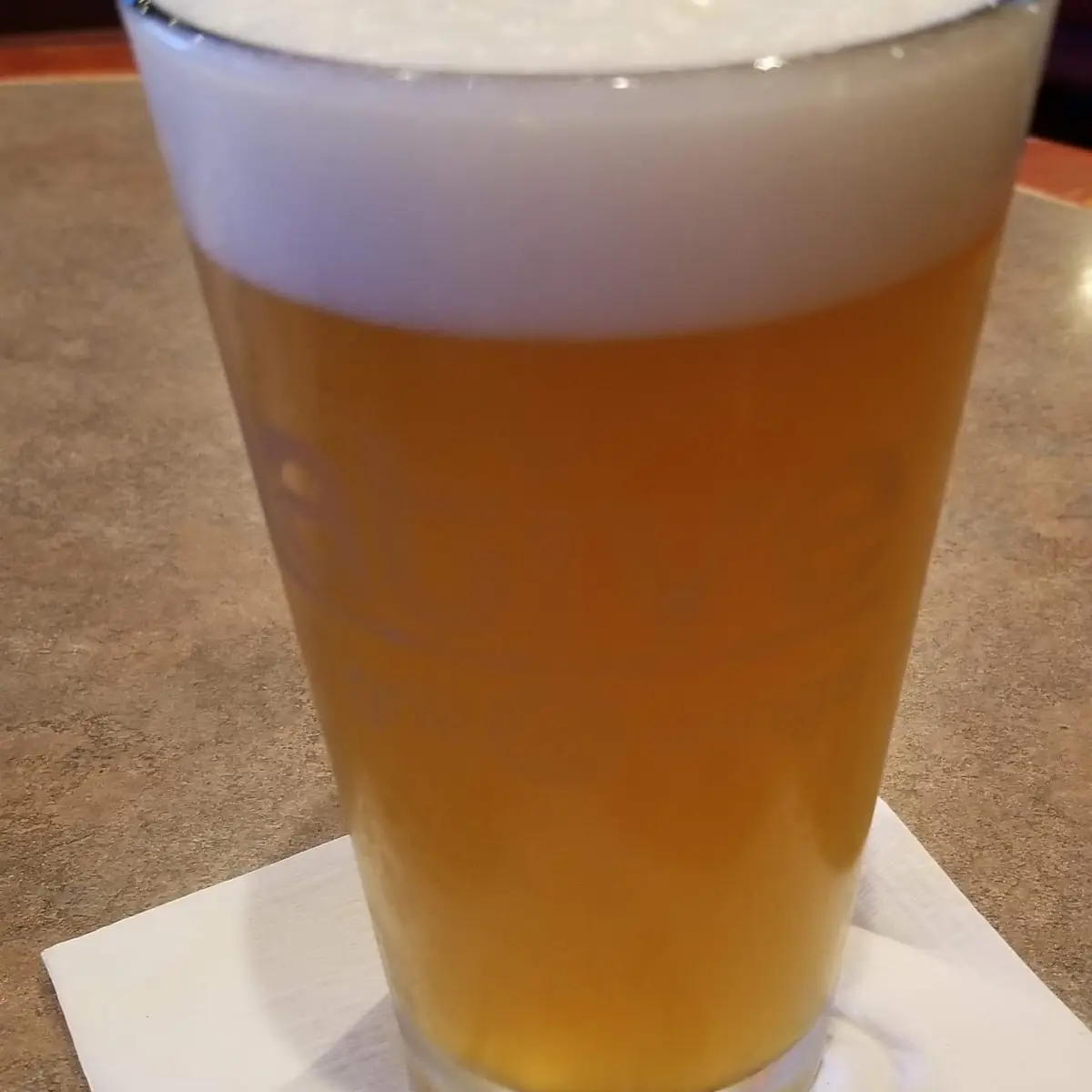 Cold Beer - San Tan Juicy Jack Hazy IPA