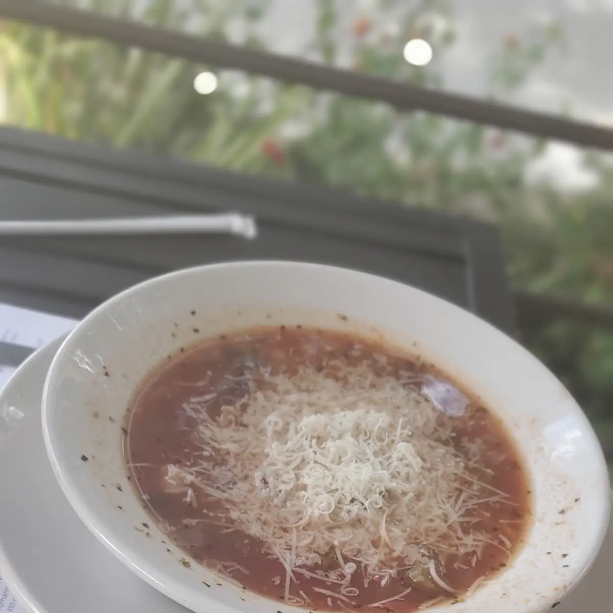 Minestrone Soup