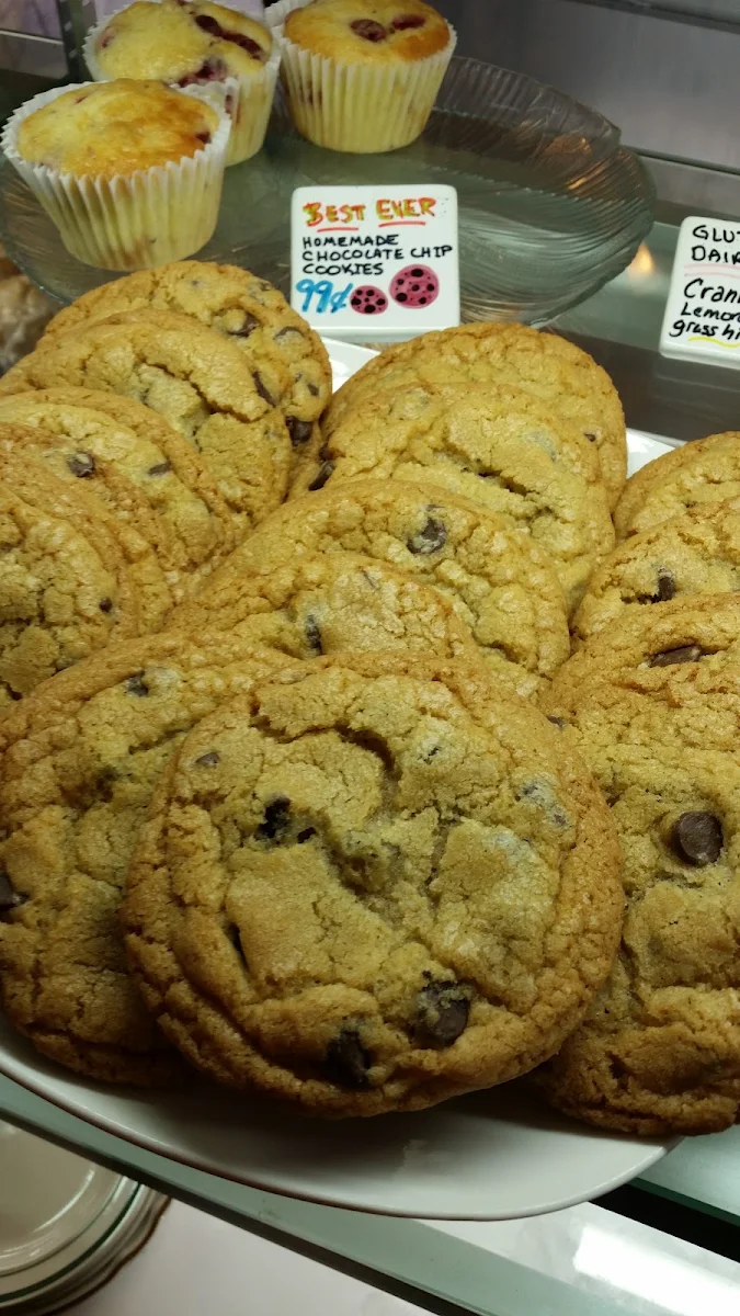 Chocolate Chip