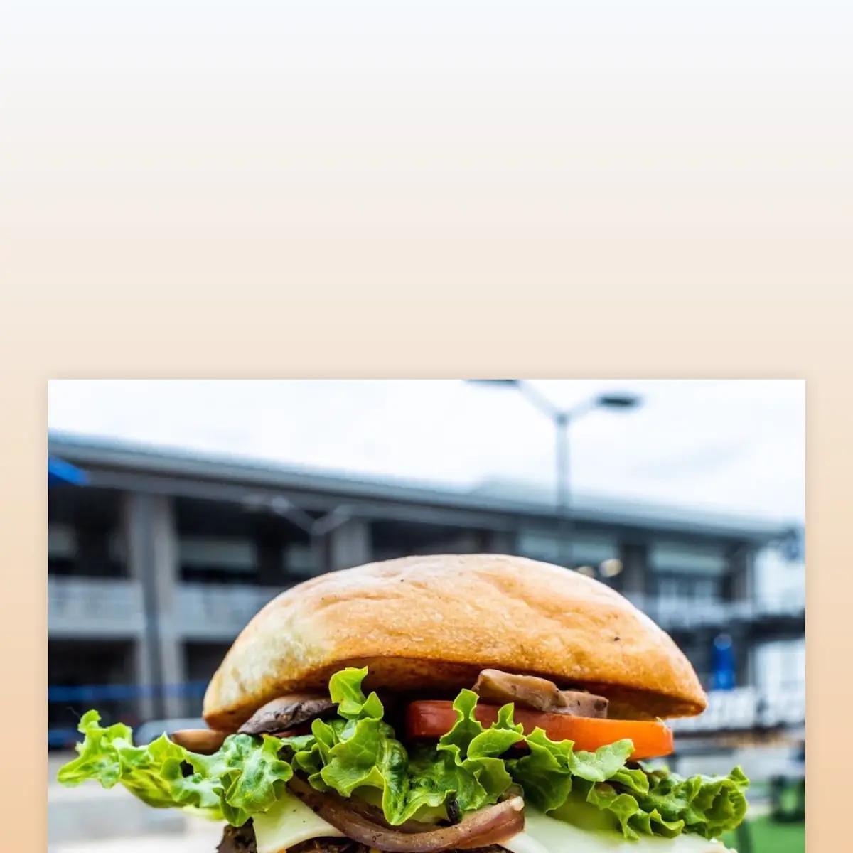 Chipotle Black Bean Burger