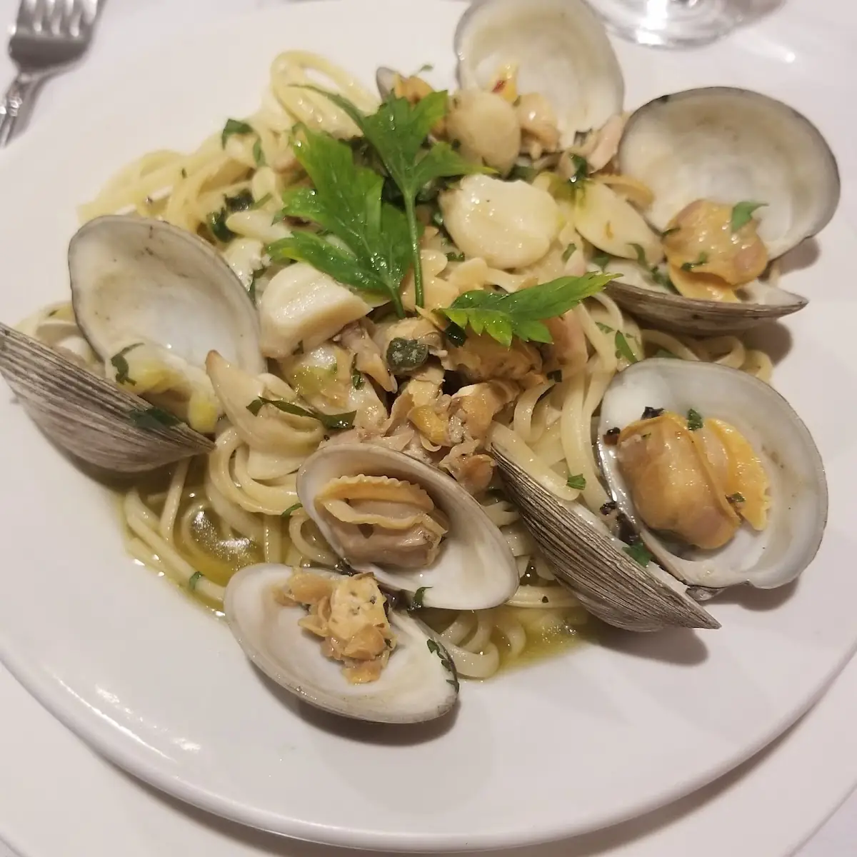 Linguine Clam Sauce