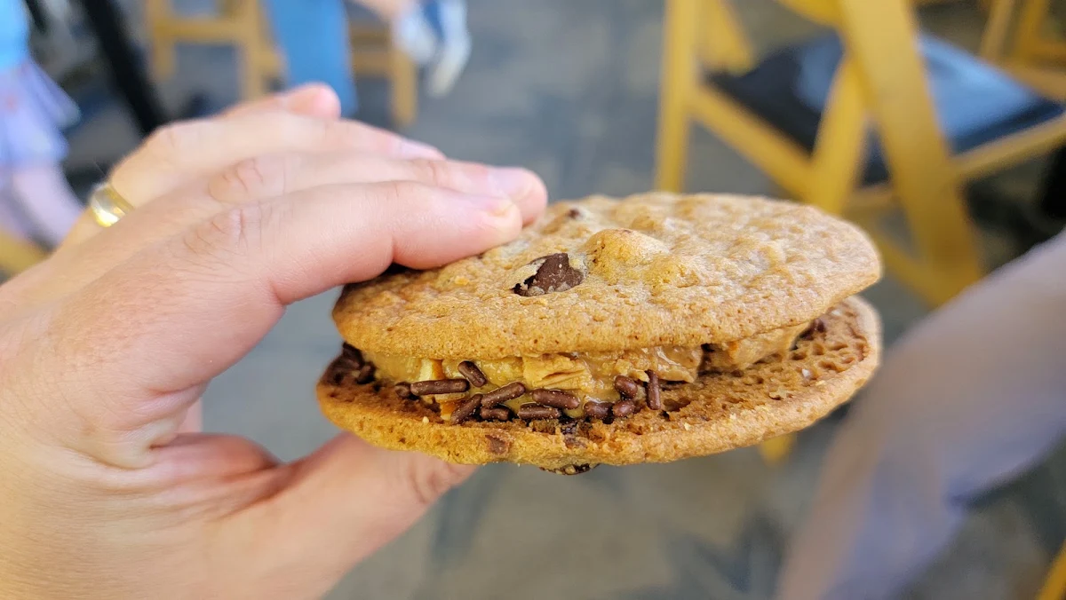 Chocolate Chip Cookie