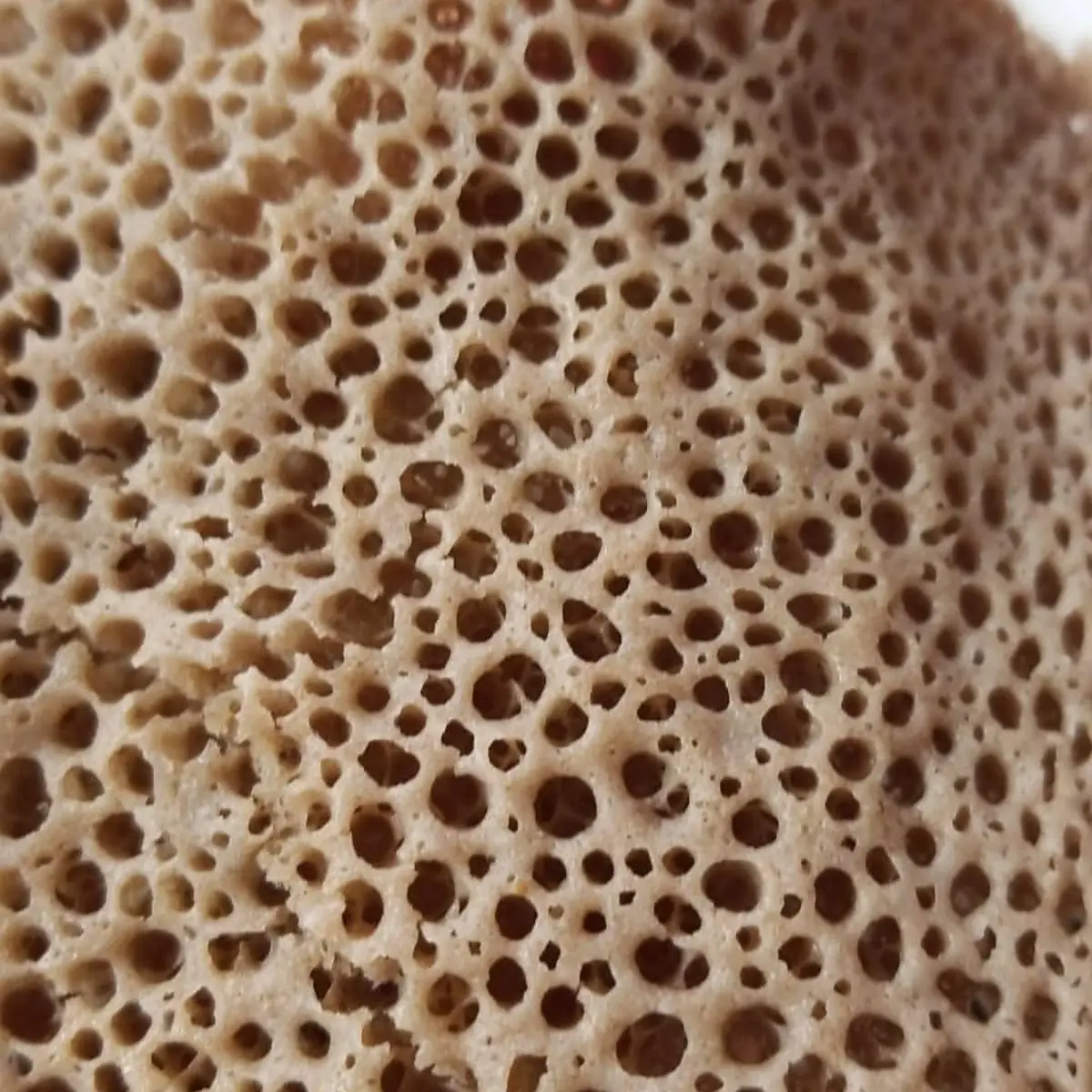 Injera Bread