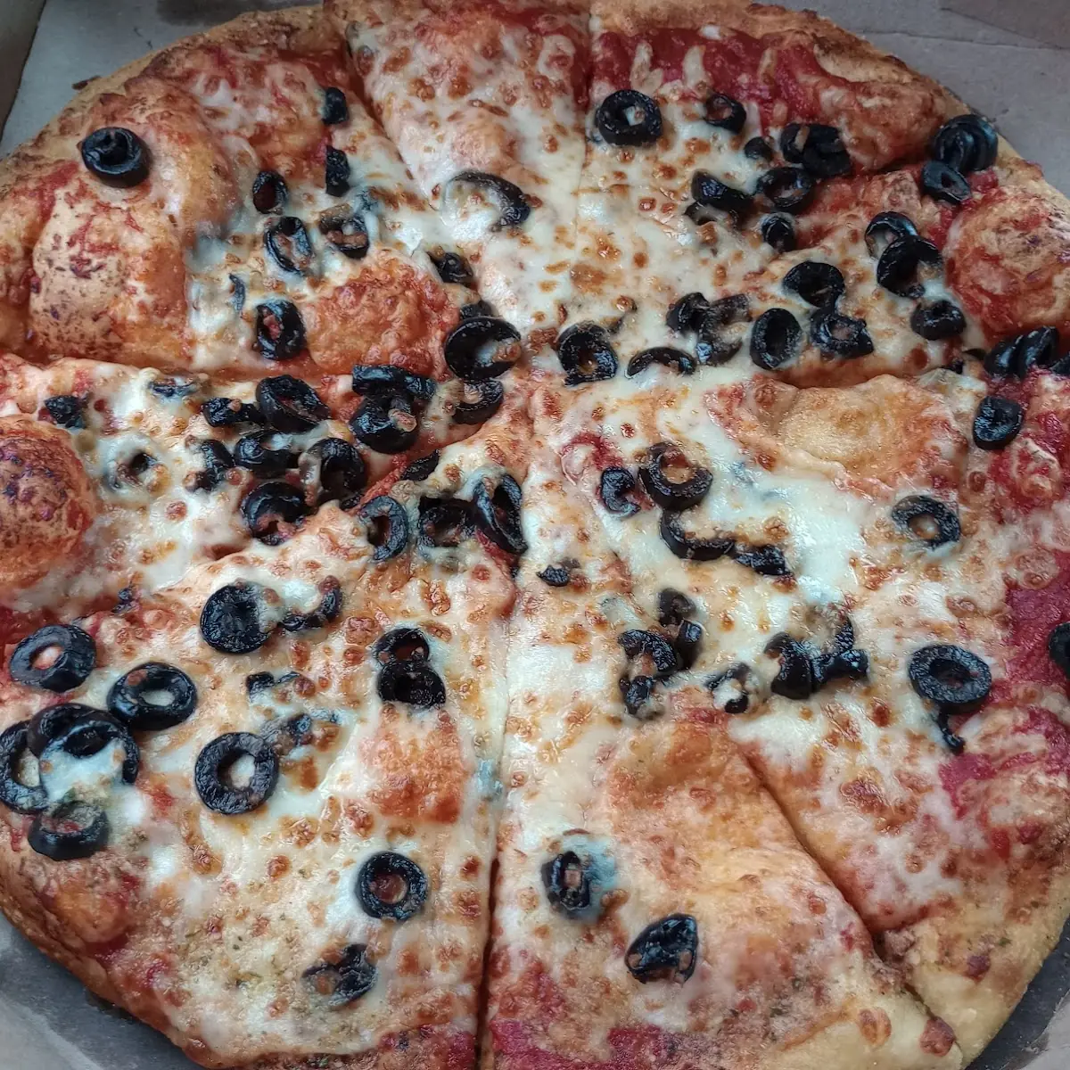 Cheese Pizza with Olives