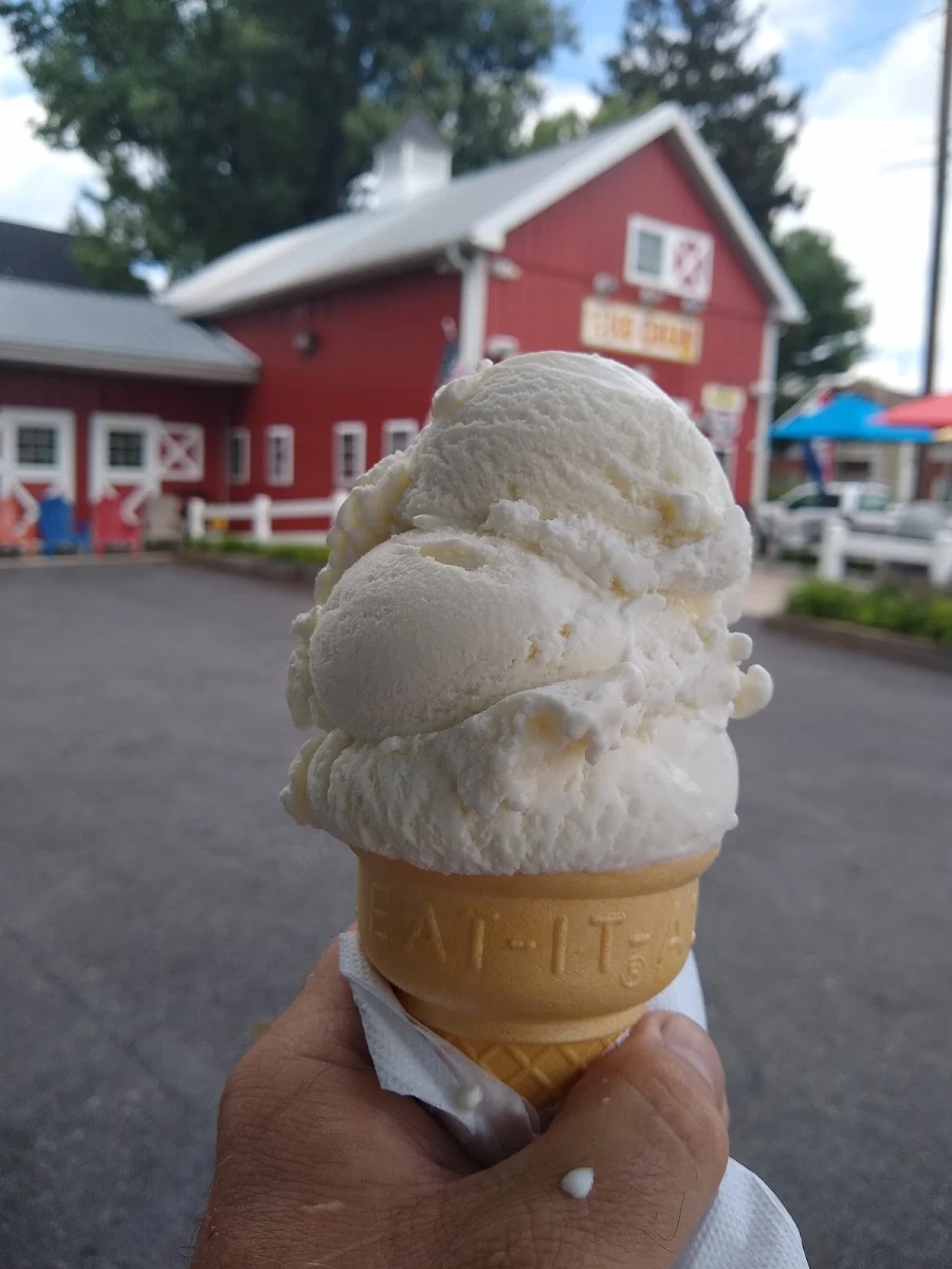 Vanilla Ice Cream