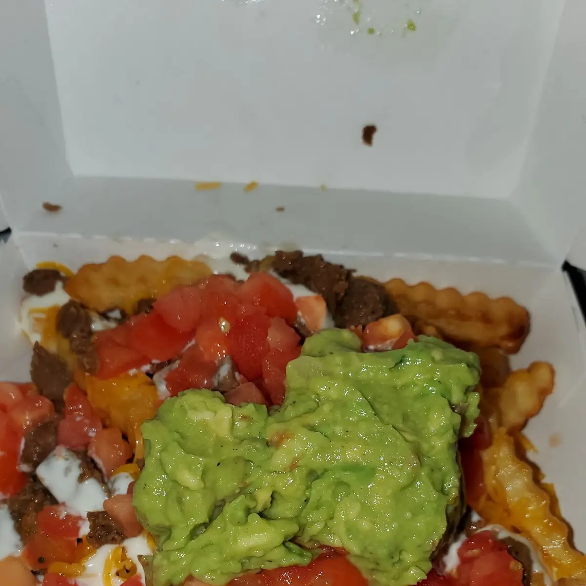 Carne Asada Fries