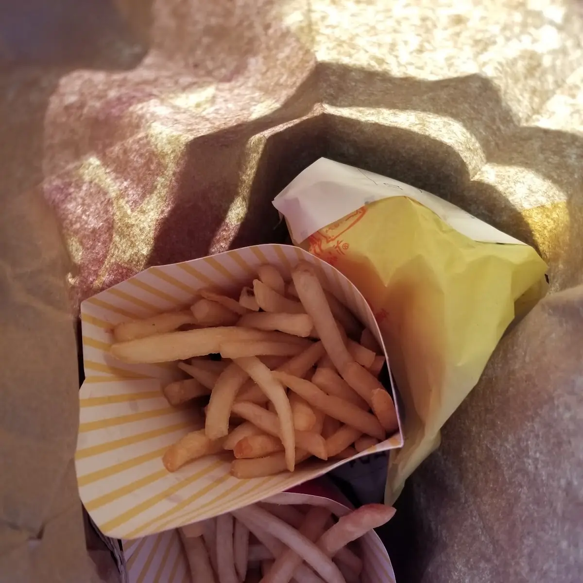 World Famous Fries