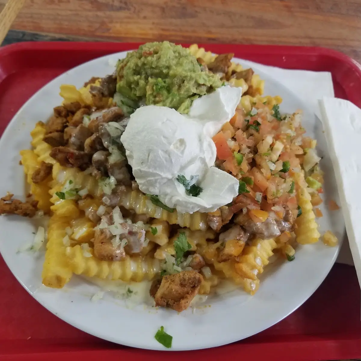 Loaded Nacho Fries