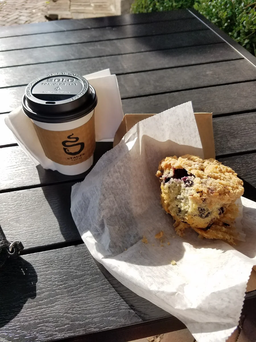 Blueberry Muffin